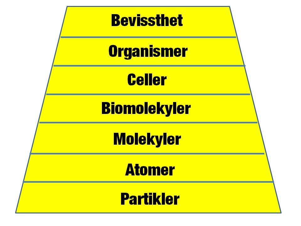 Kompleksistetspyramide