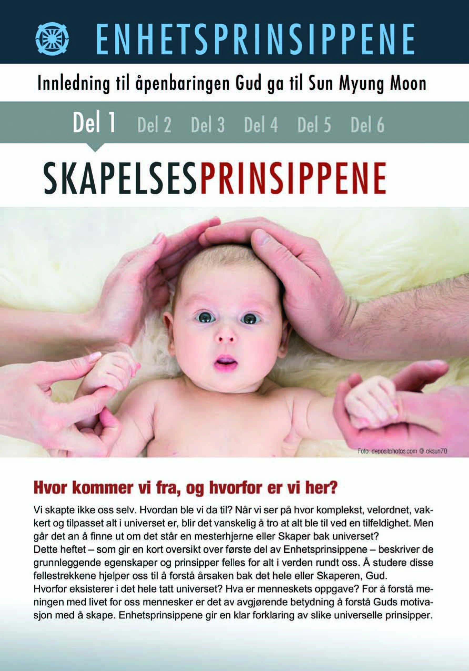 Skapelsesprinsippene