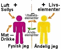 &Aring;nd kropp
